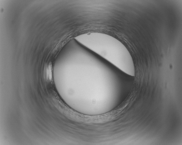 X0000054390046200507290817
