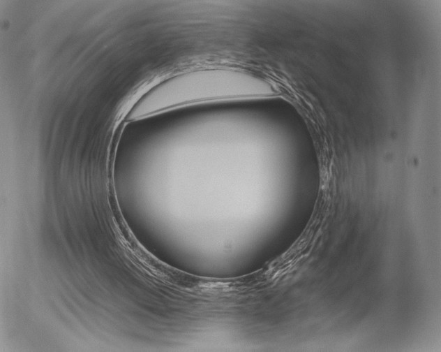 X0000054390052200507290816