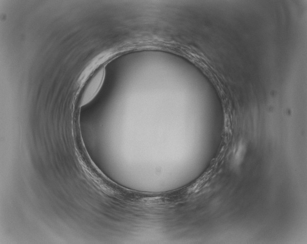 X0000054390054200507290816
