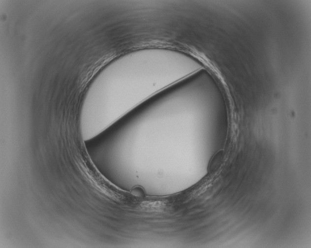 X0000054390057200507290816