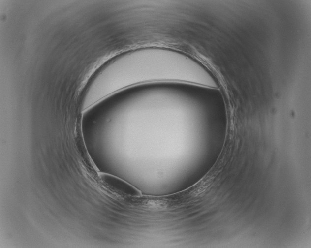 X0000054390060200507290817