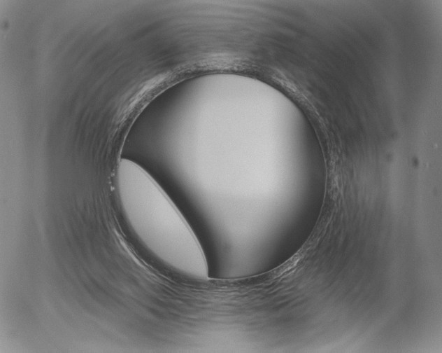 X0000054390062200507290817