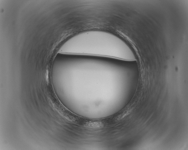 X0000054390067200507290817