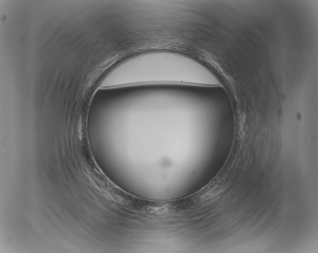 X0000054390068200507290817