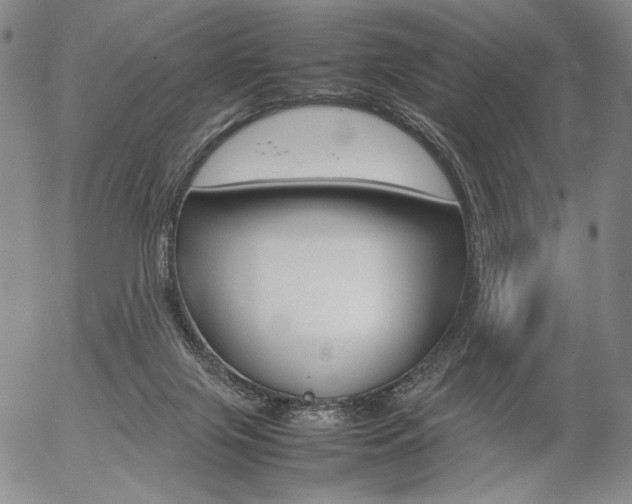 X0000054390071200507290817
