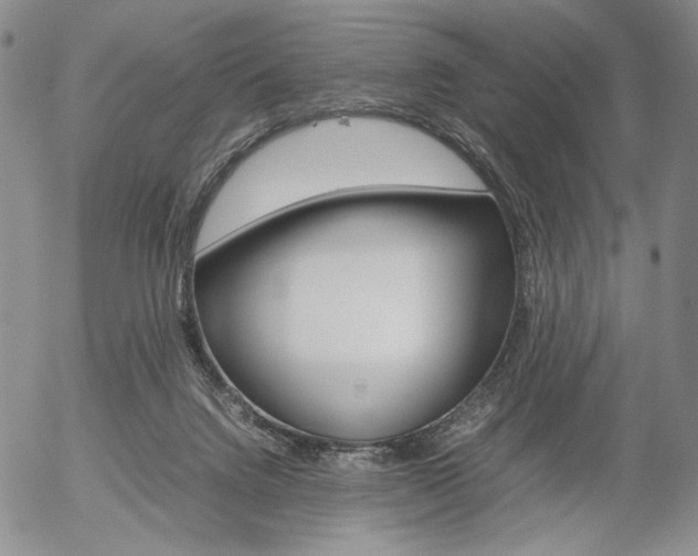 X0000054390072200507290817