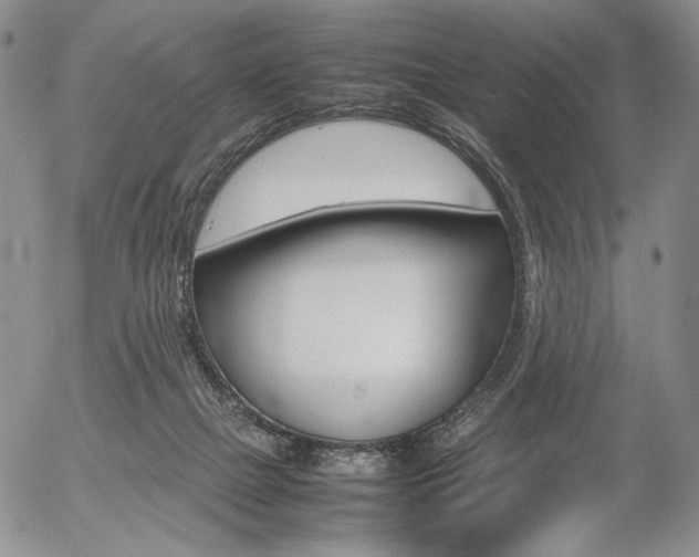 X0000054390073200507290817