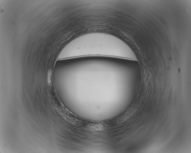 X0000054390075200507290817