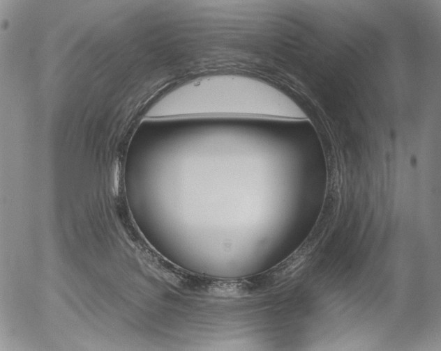 X0000054390076200507290817