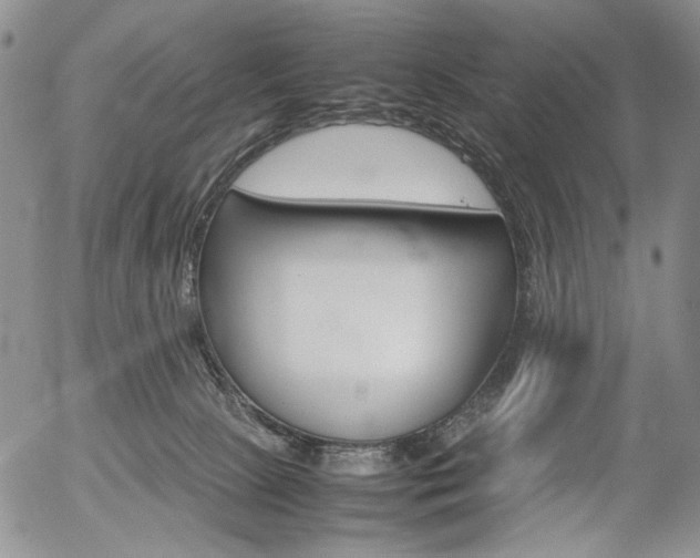 X0000054390081200507290817