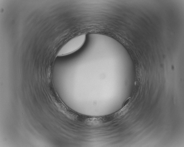 X0000054390082200507290817