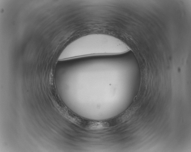 X0000054390083200507290817