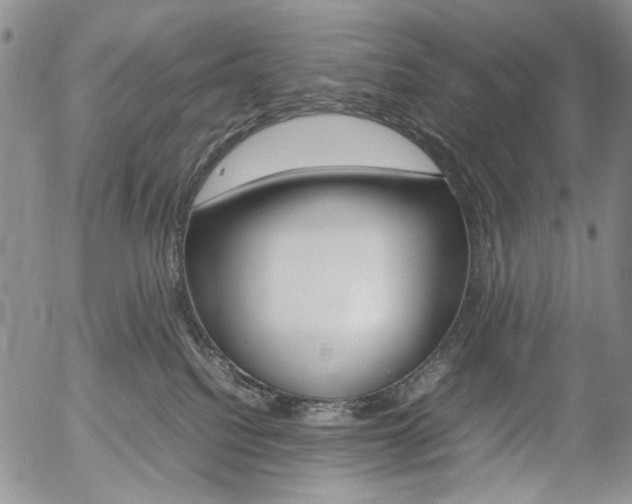 X0000054390088200507290817