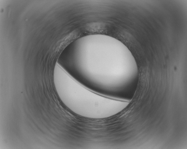 X0000054390089200507290817