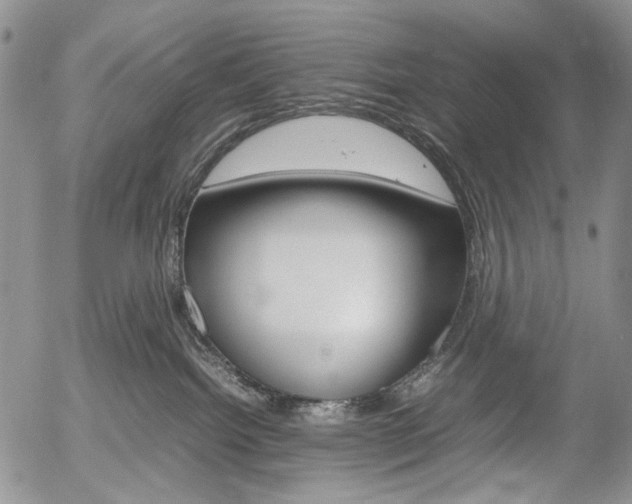 X0000054390092200507290817
