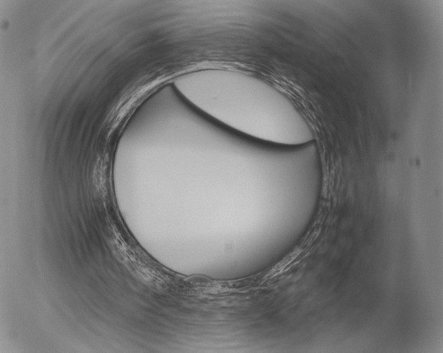X0000054390098200507290816