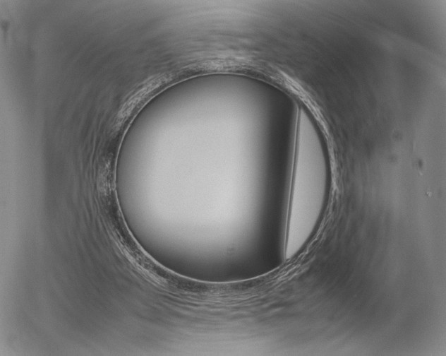 X0000054390105200507290816