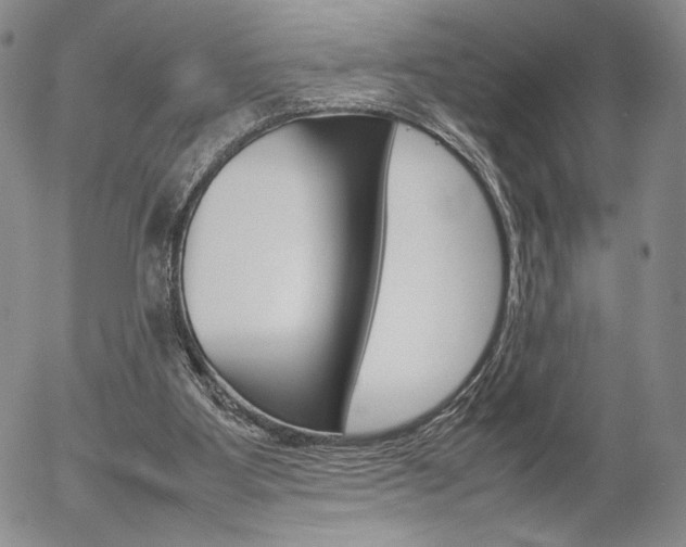 X0000054390107200507290816