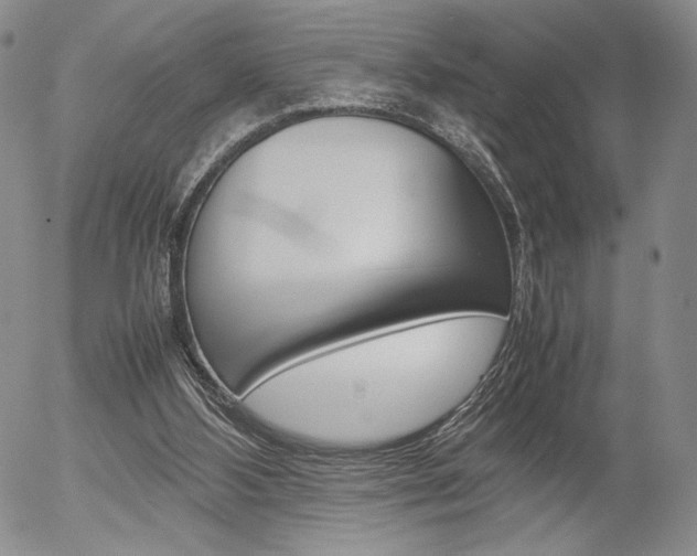 X0000054390108200507290816