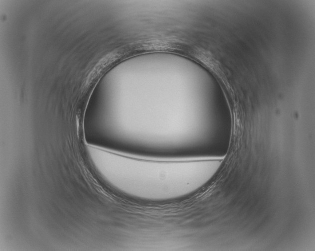 X0000054390109200507290816