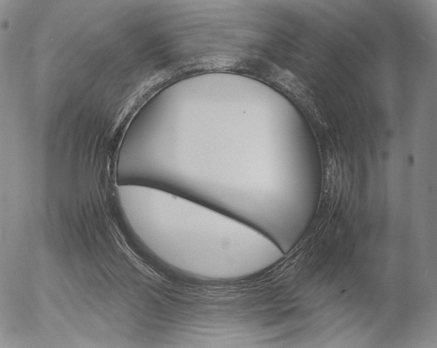 X0000054390110200507290816