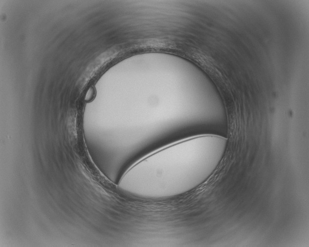 X0000054390112200507290816