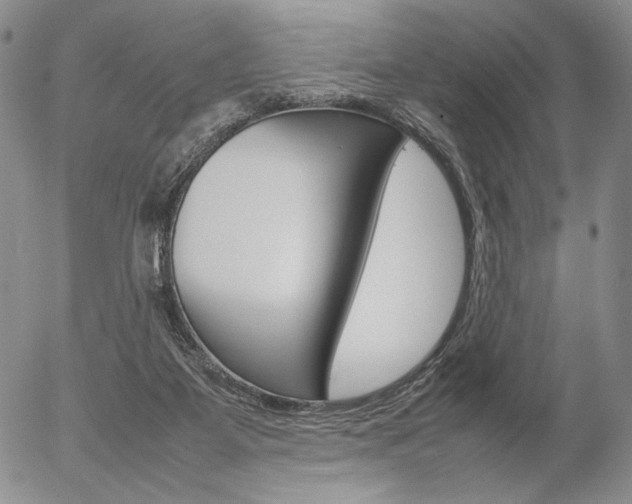 X0000054390115200507290816