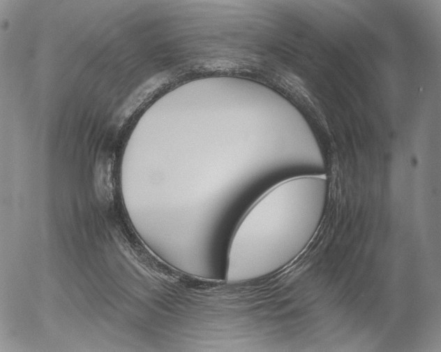 X0000054390116200507290816