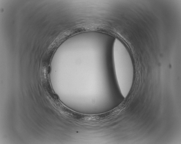 X0000054390117200507290816