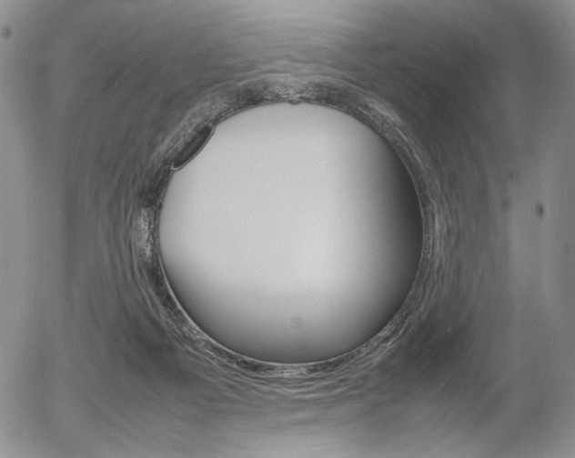 X0000054390121200507290816