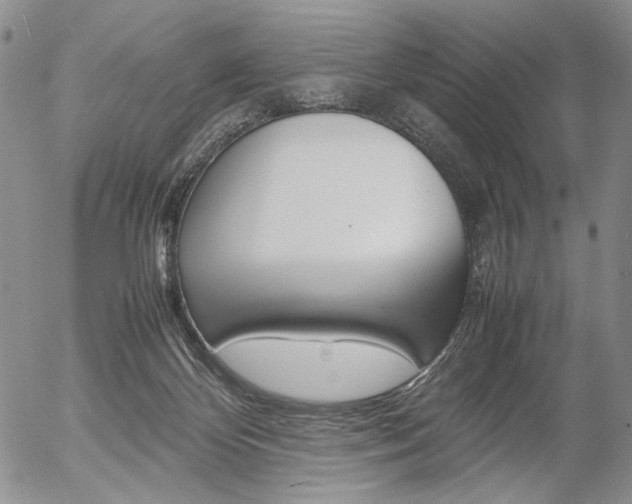X0000054390124200507290816
