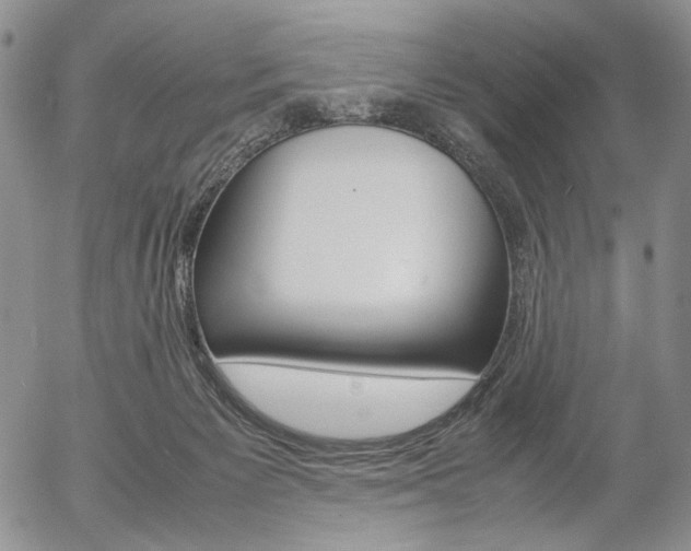 X0000054390125200507290816