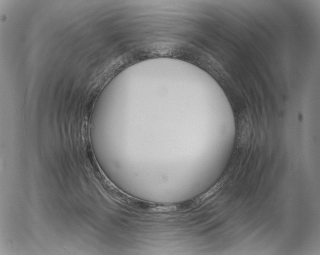 X0000054390126200507290816