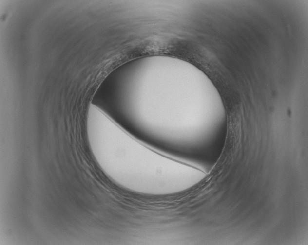 X0000054390127200507290816