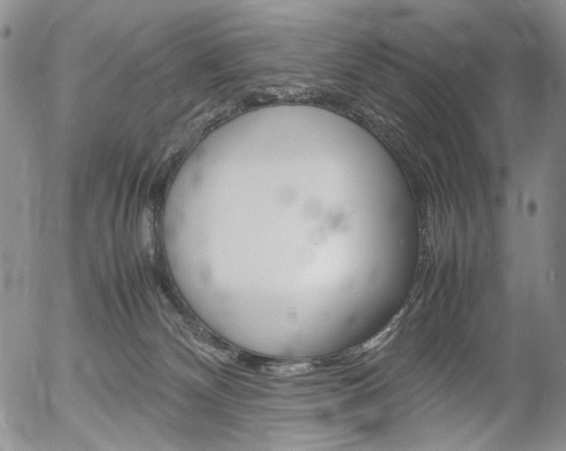 X0000054390132200507290816
