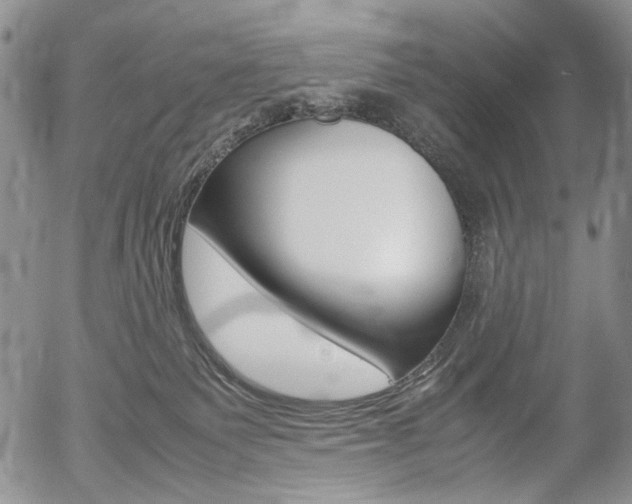 X0000054390135200507290816