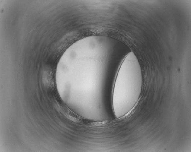 X0000054390136200507290816
