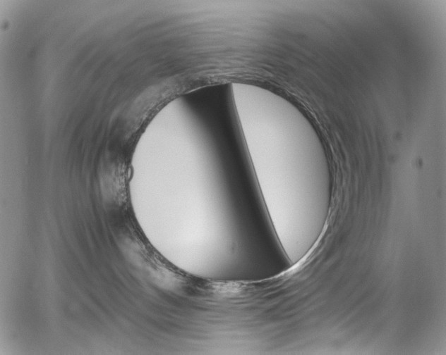 X0000054390144200507290816
