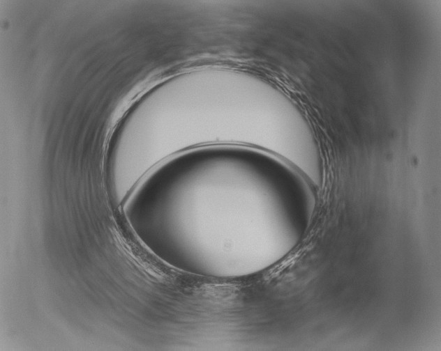X0000054390150200507290815