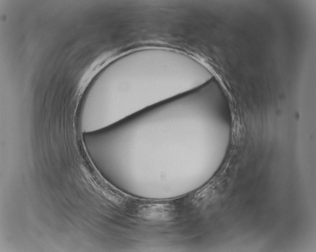 X0000054390151200507290815