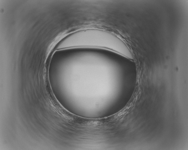 X0000054390152200507290815