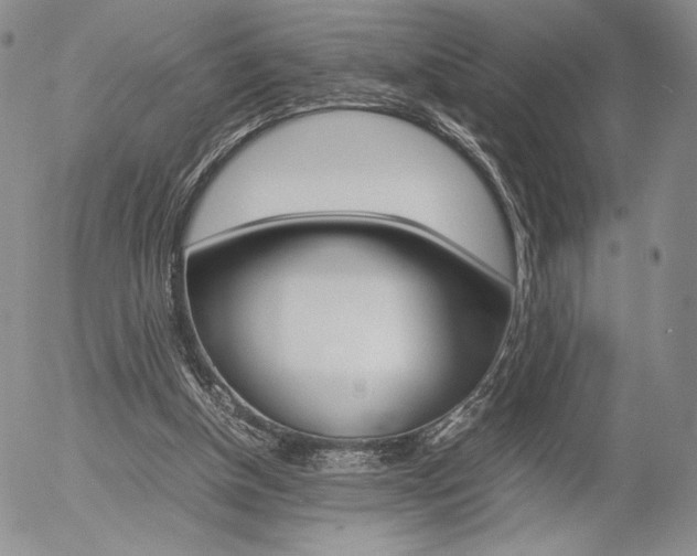 X0000054390154200507290815