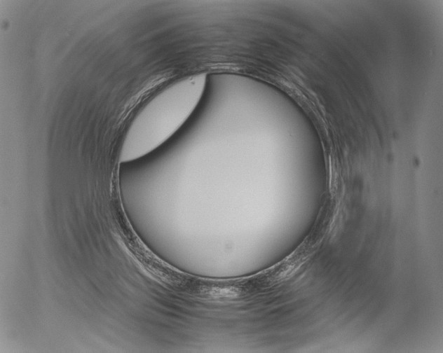 X0000054390157200507290815