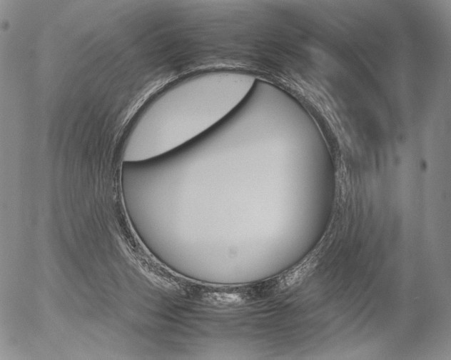 X0000054390159200507290815