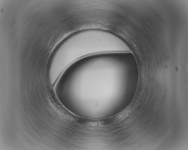 X0000054390160200507290815