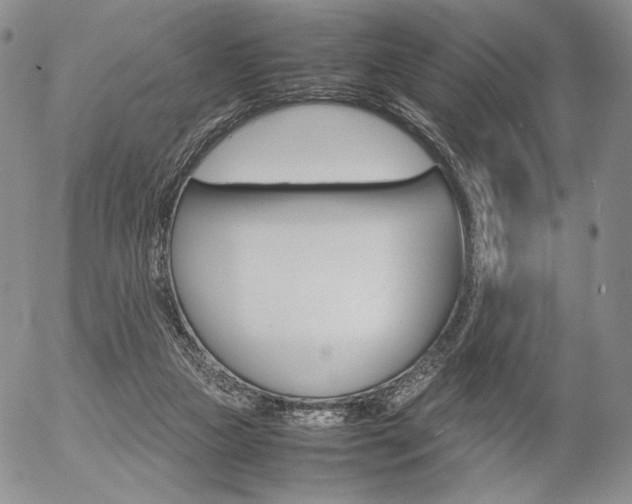 X0000054390161200507290815