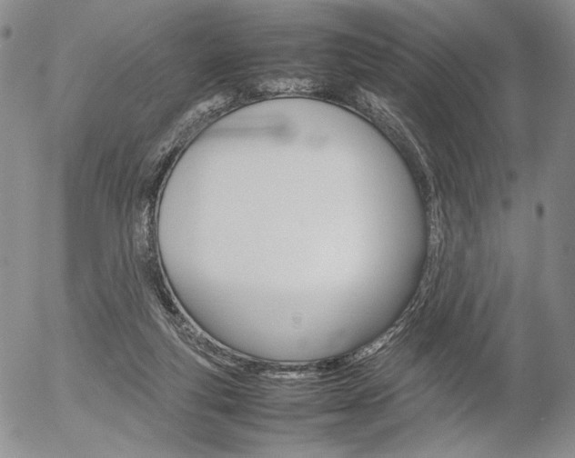 X0000054390163200507290815