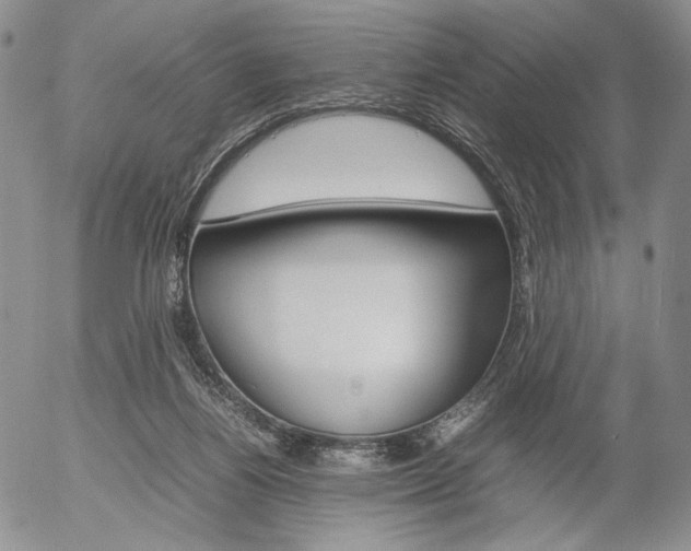 X0000054390164200507290815