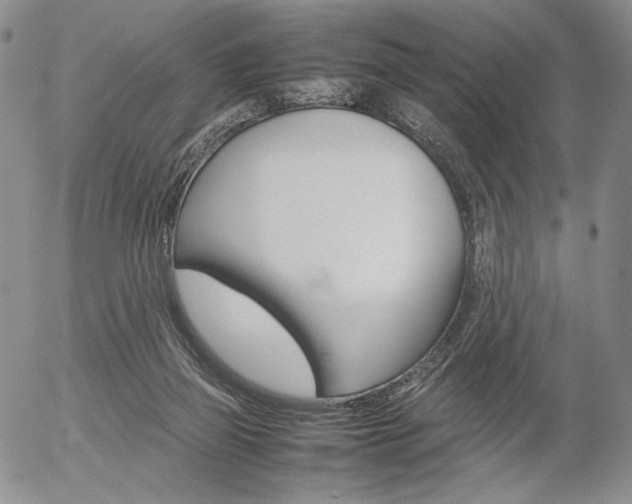 X0000054390165200507290815