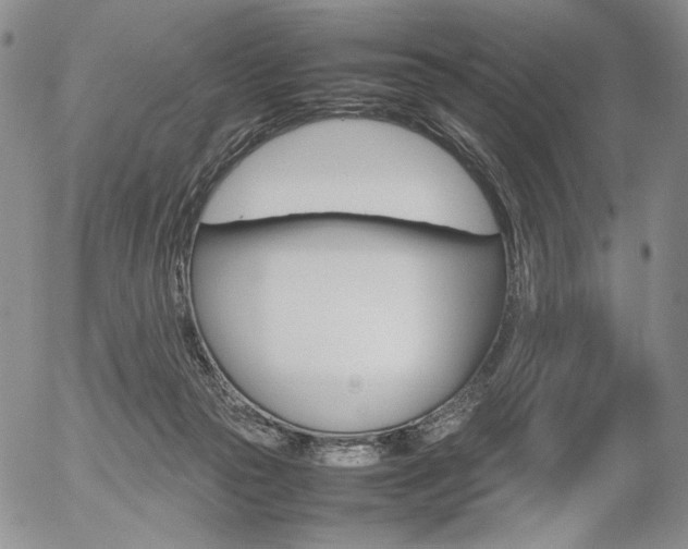 X0000054390169200507290815